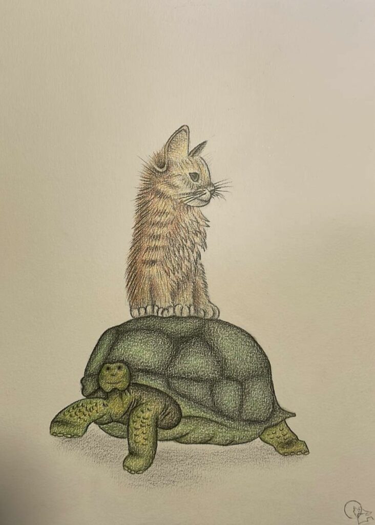 Dessin d'un chat et d'une tortue