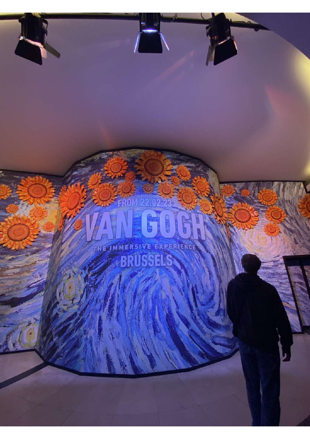 « Van Gogh à Bruxelles, magnifique expérience immersive »