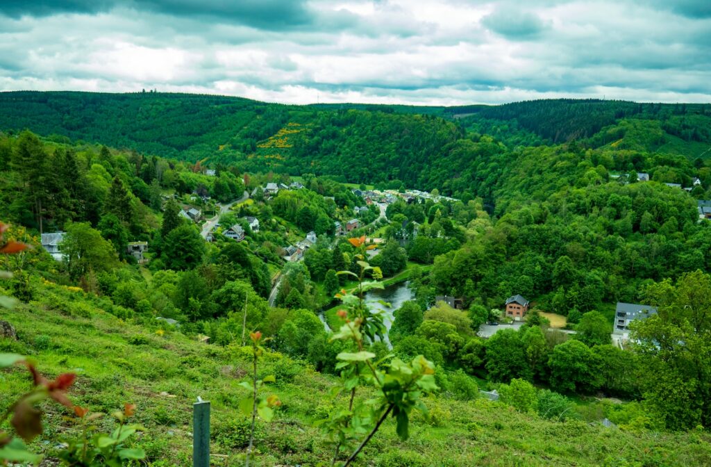 green trees on mountain under cloudy sky during daytime