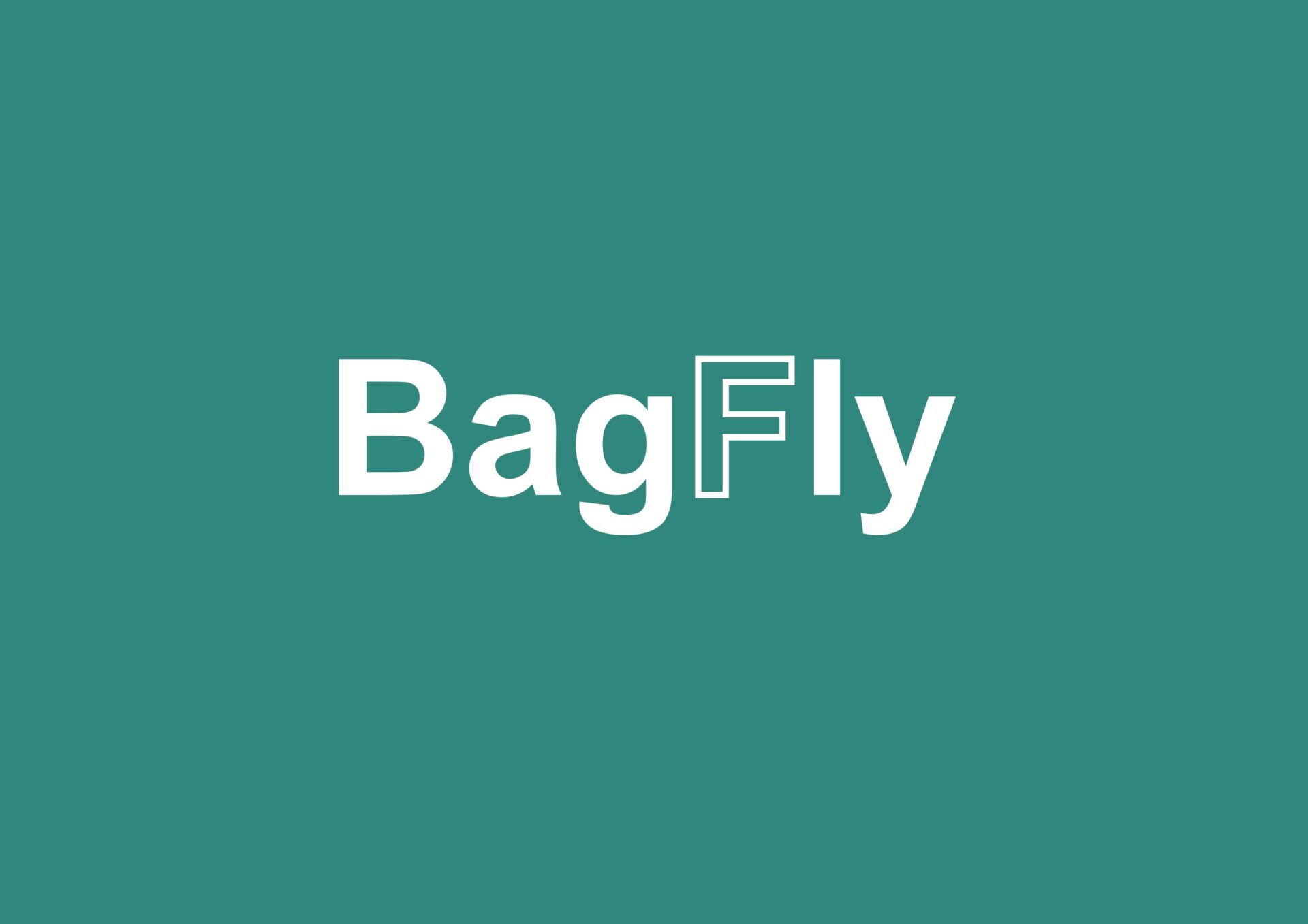 Le site BagFly