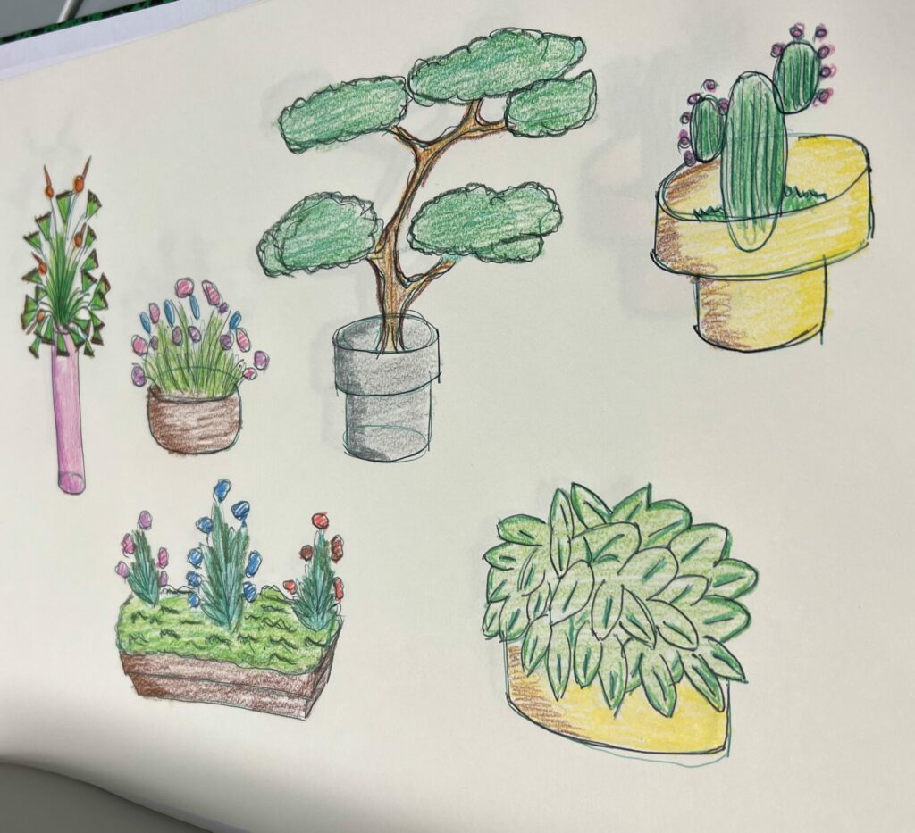 Mes débuts en dessin. Végétaux, plantes