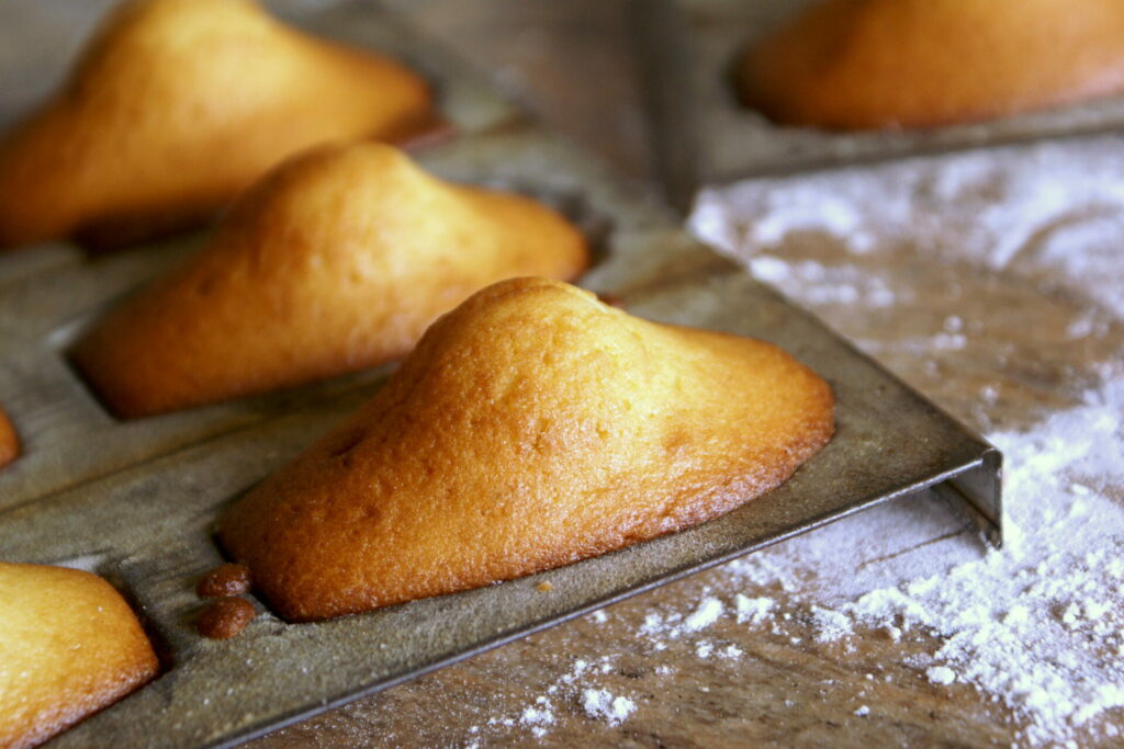 Recette de madeleine facile et rapide
