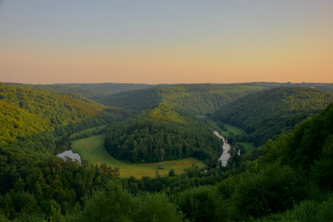 green-trees